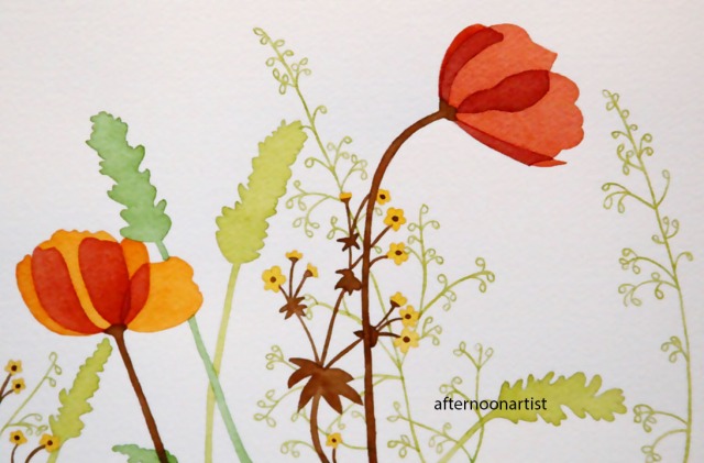 poppies in watercolor