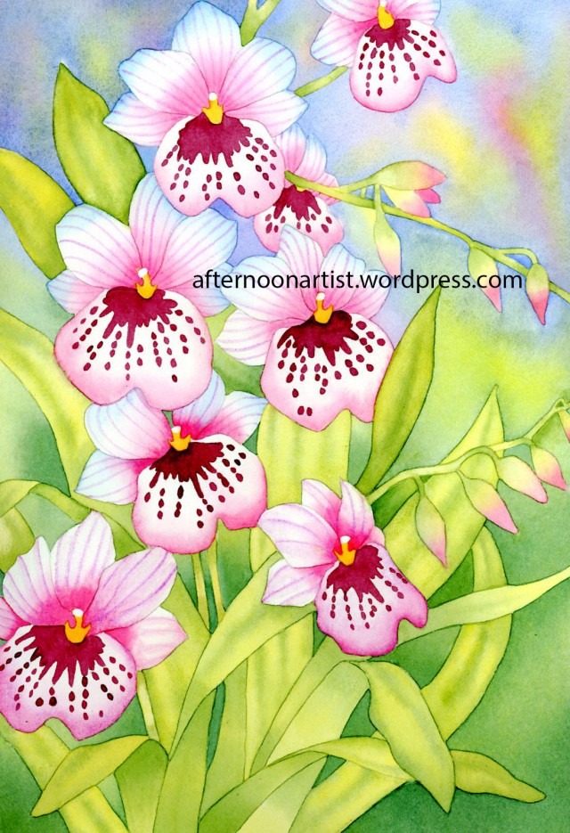 Pink Miltonia Orchids in Watercolor